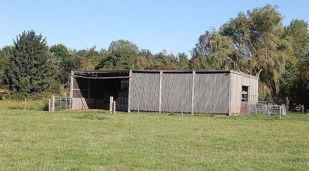 Property for Sale Sutton St Edmund LINCOLNSHIRE Rural Scene