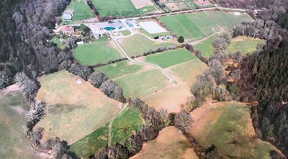 Property for Sale Nr Charmouth DORSET Rural Scene