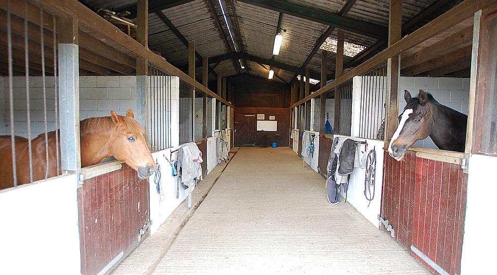 Property for Sale Nr Charmouth DORSET Rural Scene