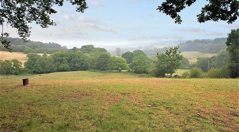 Property for Sale Nr Charmouth DORSET Rural Scene