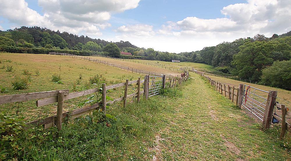 Property for Sale Nr Charmouth DORSET Rural Scene