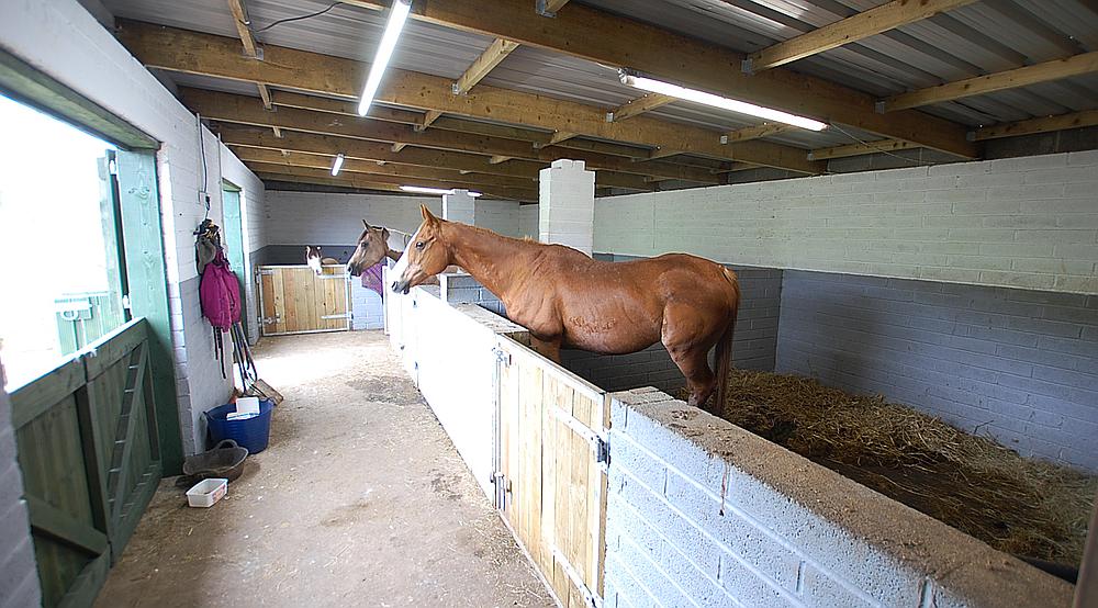 Property for Sale Treharris SOUTH WALES Rural Scene