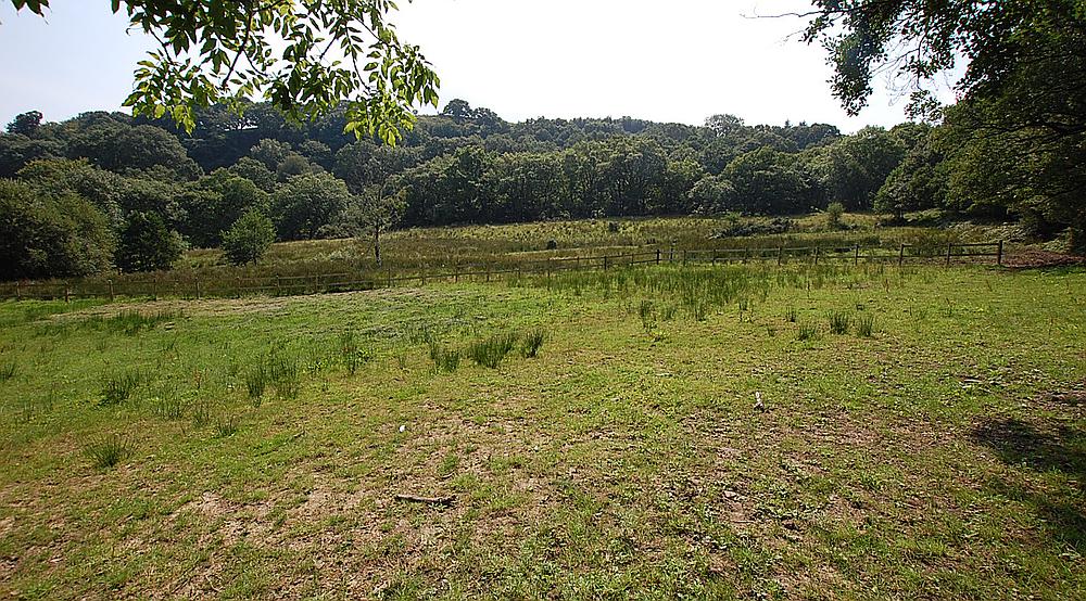 Property for Sale Treorchy RHONDDA Rural Scene