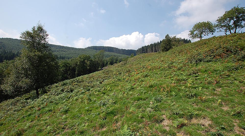 Property for Sale Treorchy RHONDDA Rural Scene