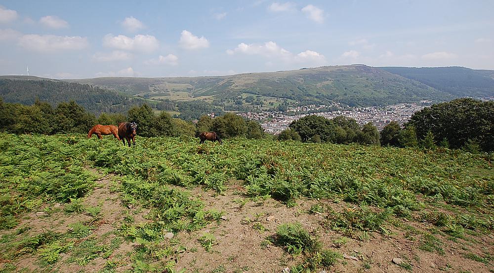 Property for Sale Treorchy RHONDDA Rural Scene
