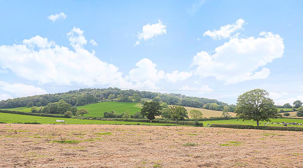 Property for Sale Sherborne Causeway DORSET Rural Scene