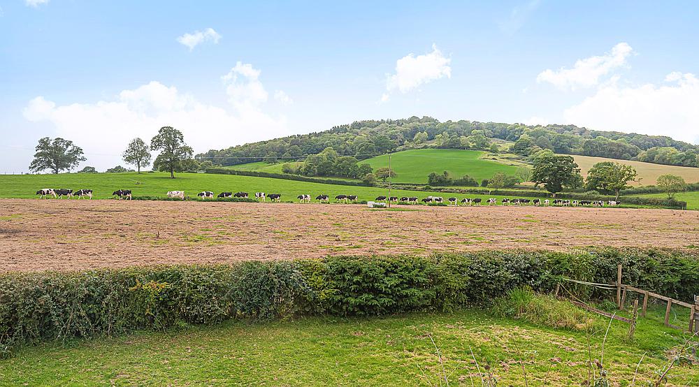 Property for Sale Sherborne Causeway DORSET Rural Scene
