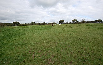 Conwyl Elfed CARMARTHENSHIRE