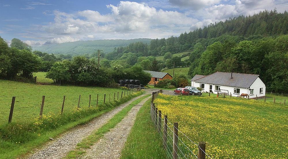 Property for Sale Llanllawddog CARMARTHENSHIRE Rural Scene