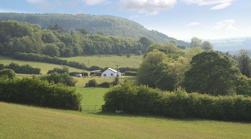 Property for Sale Llanllawddog CARMARTHENSHIRE Rural Scene
