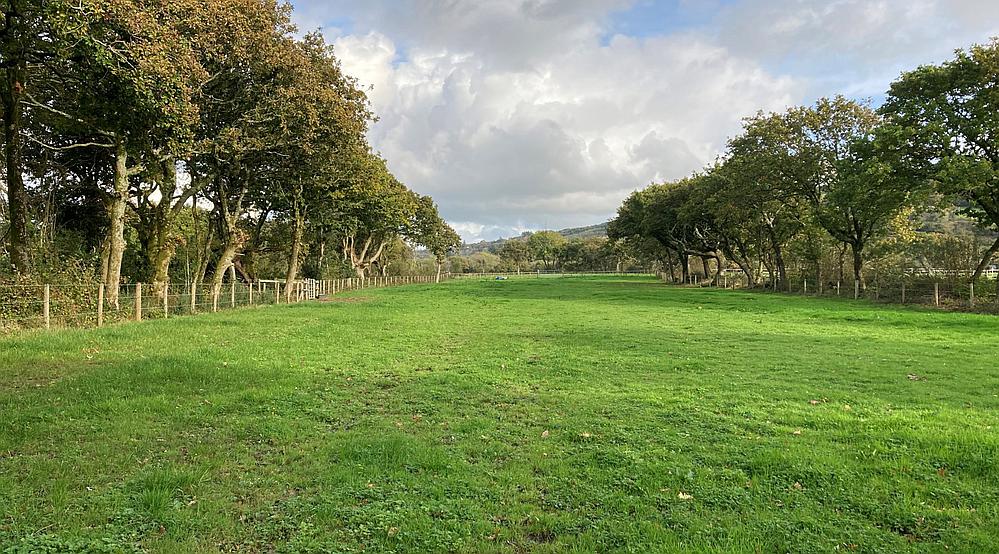 Property for Sale Burry Port CARMARTHENSHIRE Rural Scene