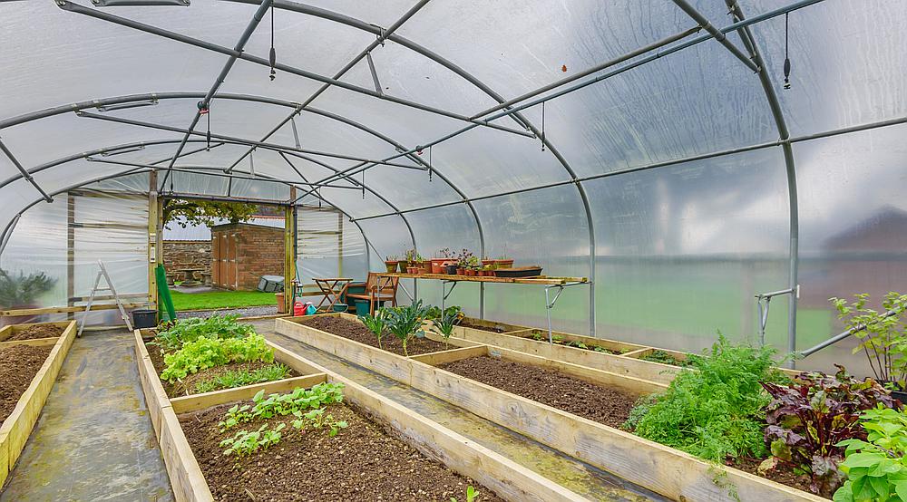 Property for Sale Burry Port CARMARTHENSHIRE Rural Scene