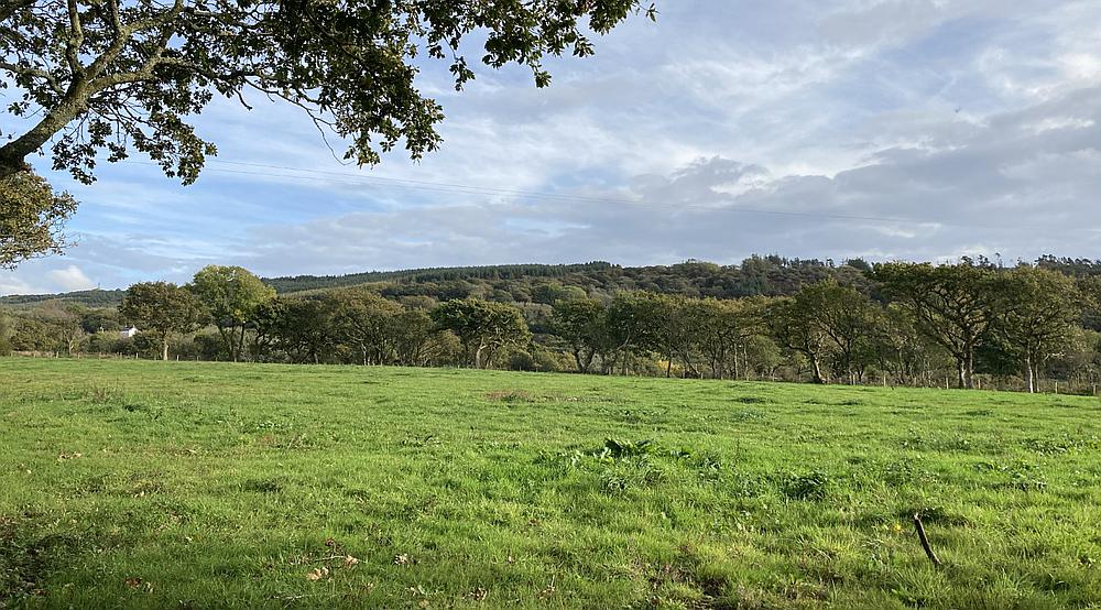 Property for Sale Burry Port CARMARTHENSHIRE Rural Scene