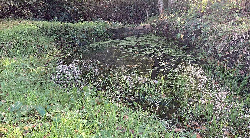 Property for Sale Burry Port CARMARTHENSHIRE Rural Scene