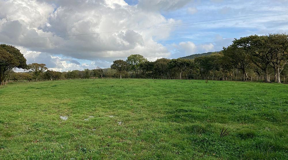 Property for Sale Burry Port CARMARTHENSHIRE Rural Scene