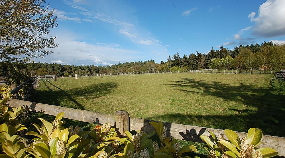 Property for Sale Beckley EAST SUSSEX Rural Scene