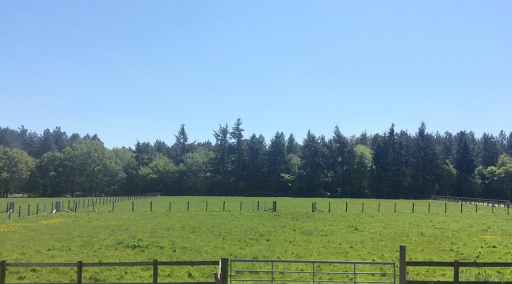 Property for Sale Beckley EAST SUSSEX Rural Scene