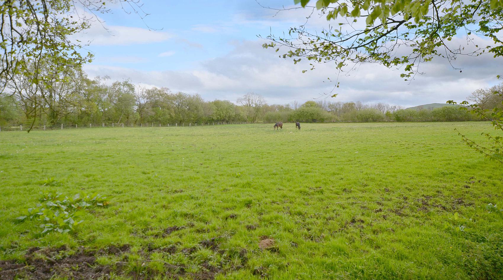 Talley CARMARTHENSHIRE