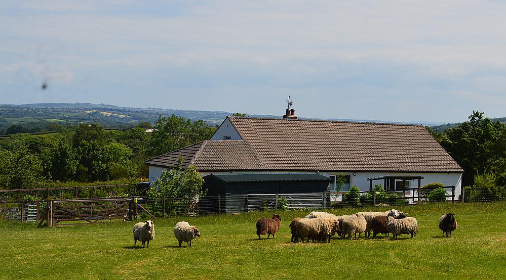 New Chapel PEMBROKESHIRE