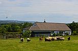 New Chapel PEMBROKESHIRE