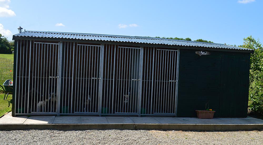 New Chapel PEMBROKESHIRE