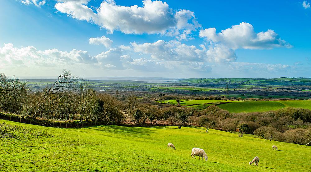 Property for Sale Trimsaran CARMARTHENSHIRE Rural Scene