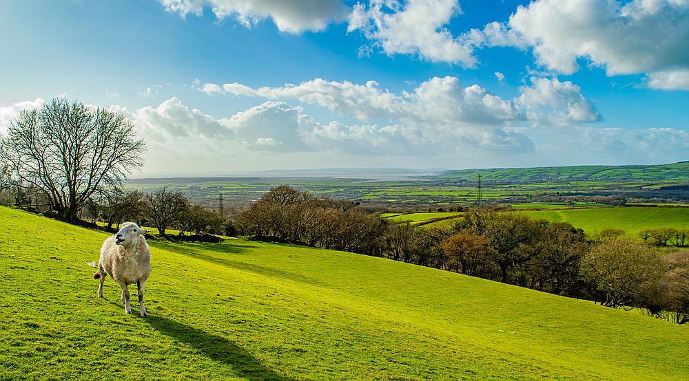 Property for Sale Trimsaran CARMARTHENSHIRE Rural Scene