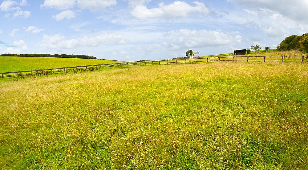 Collingbourne Kingston WILTSHIRE