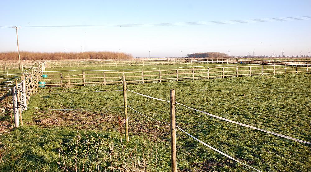 Property for Sale Thorney CAMBRIDGESHIRE Rural Scene