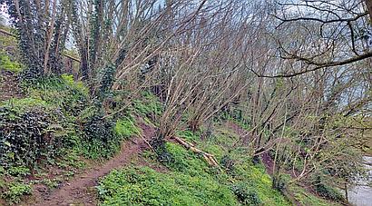 Kidwelly CARMARTHENSHIRE