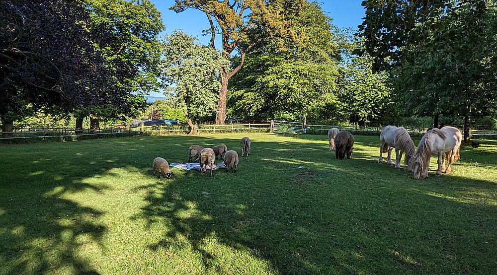 Calverleigh DEVON