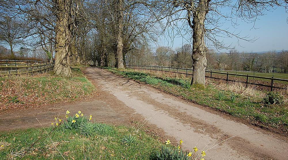 Calverleigh DEVON