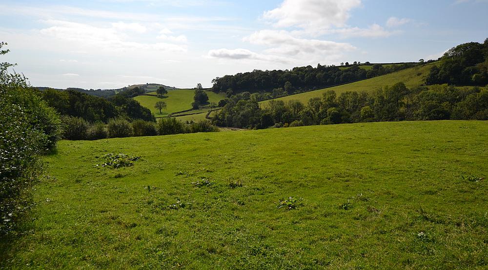 Property for Sale Whitemill CARMARTHENSHIRE Rural Scene