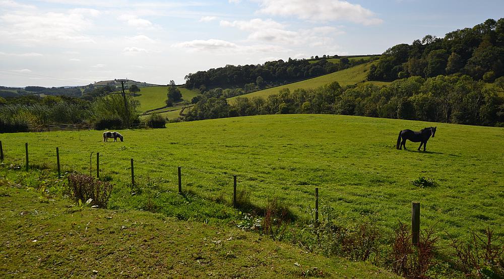 Property for Sale Whitemill CARMARTHENSHIRE Rural Scene