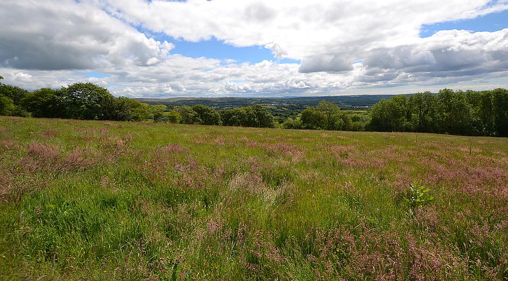 Property for Sale Hendy CARMARTHENSHIRE Rural Scene