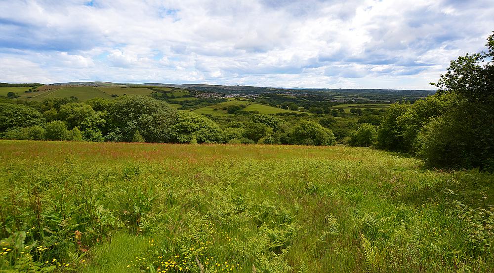 Property for Sale Hendy CARMARTHENSHIRE Rural Scene