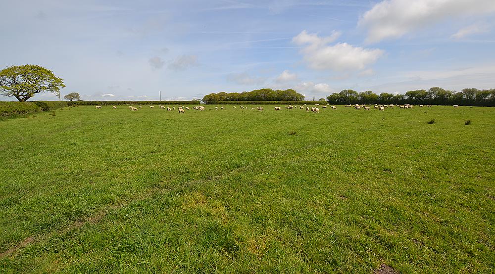 Property for Sale Bancycapel CARMARTHENSHIRE Rural Scene