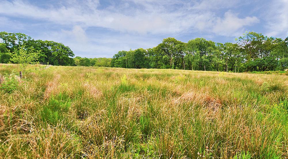 Property for Sale Aberdare RHONDDA CYNON TAFF Rural Scene