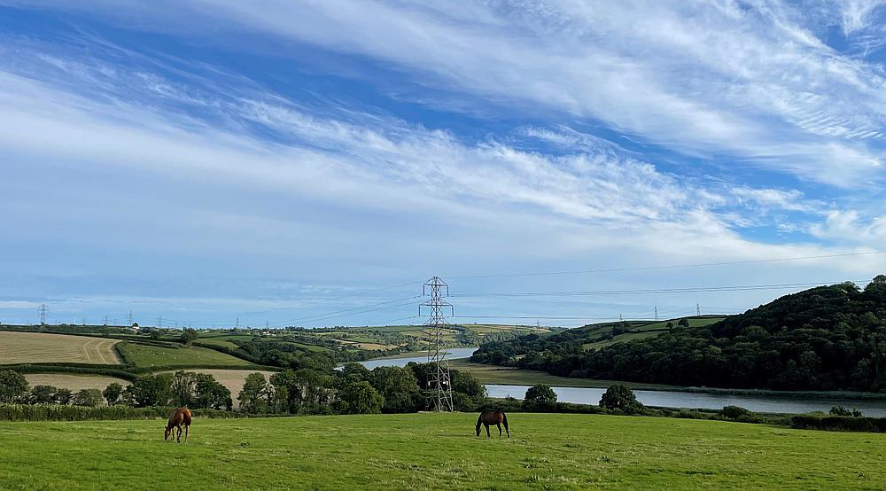 Property for Sale Croesyceiliog CARMARTHENSHIRE Rural Scene