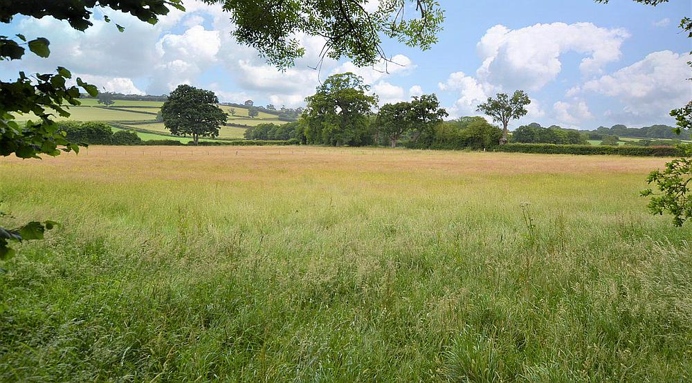 Bronllys POWYS