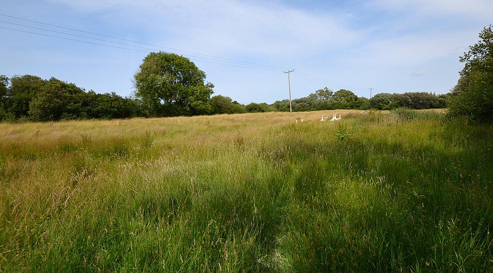 Beulah CEREDIGION