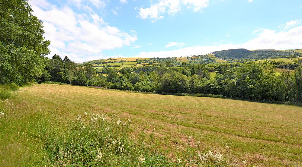 Property for Sale Brechfa CARMARTHENSHIRE Rural Scene