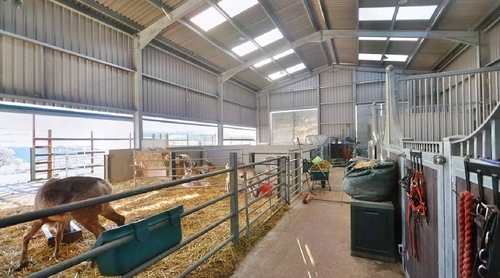 Llandyfaelog CARMARTHENSHIRE