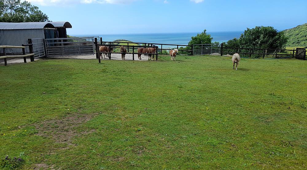 Sarnau CEREDIGION