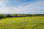 Idole CARMARTHENSHIRE