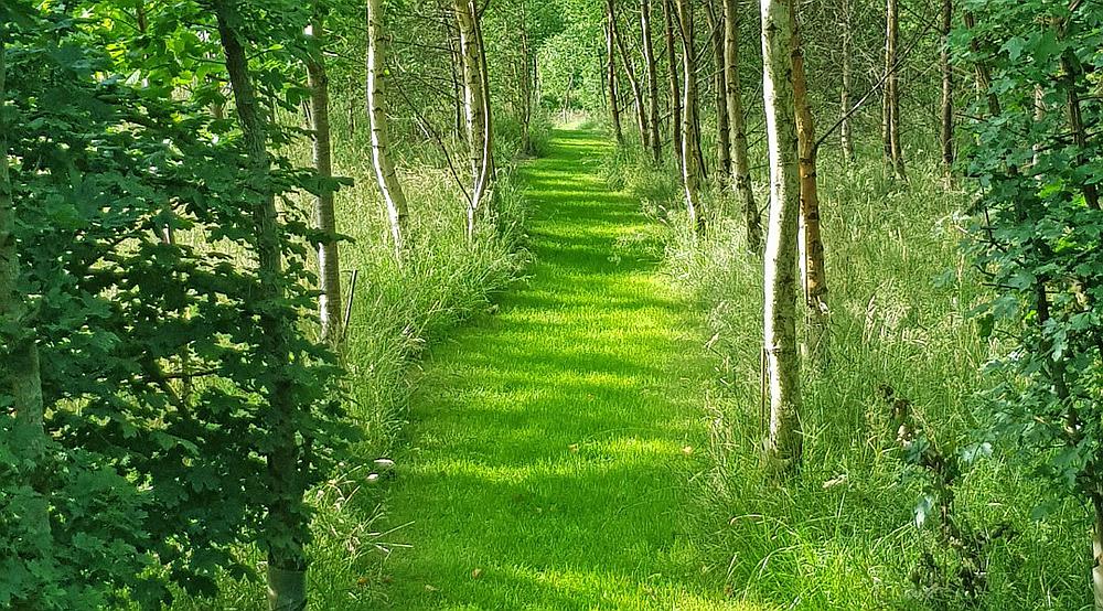 Pencader CARMARTHENSHIRE