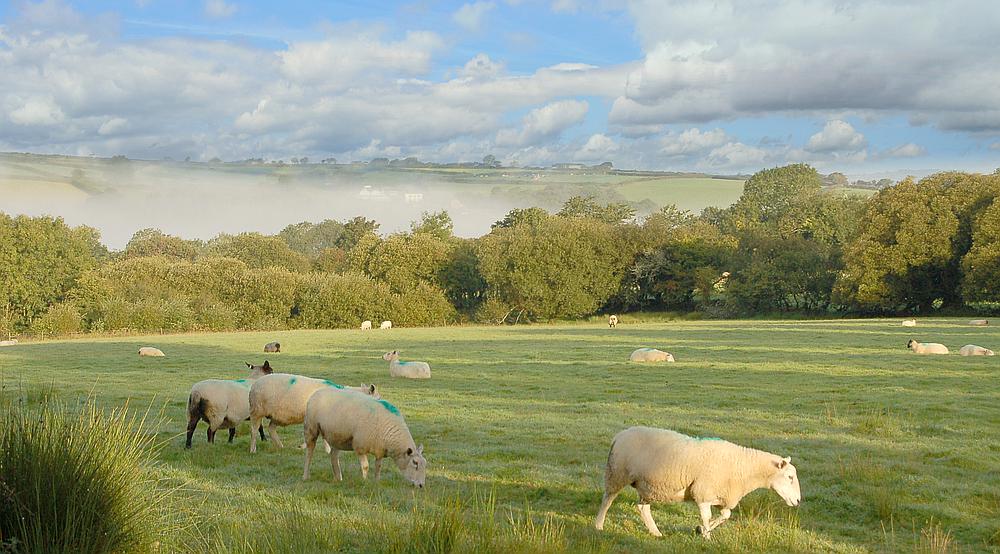 Pencader CARMARTHENSHIRE