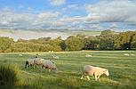 Pencader CARMARTHENSHIRE