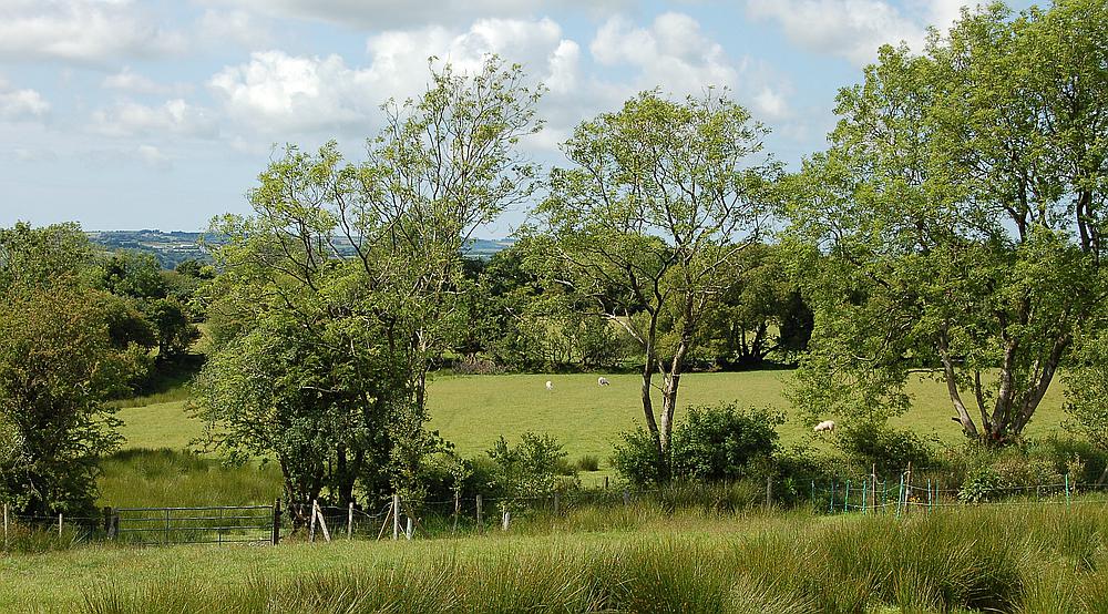 Pencader CARMARTHENSHIRE