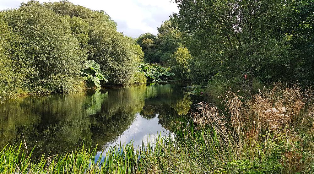 Pencader CARMARTHENSHIRE